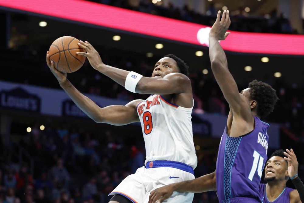 森林狼如何 森林狼如何